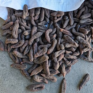 ��̖�х� �}�n��� �a��ֱ�N Ƥ�� ���^����  ���|�ʺ� �عϺ���