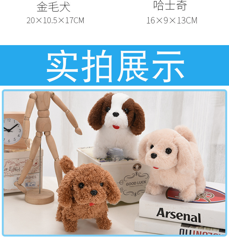 泰迪金毛哈士奇柯基小狗详情页_06