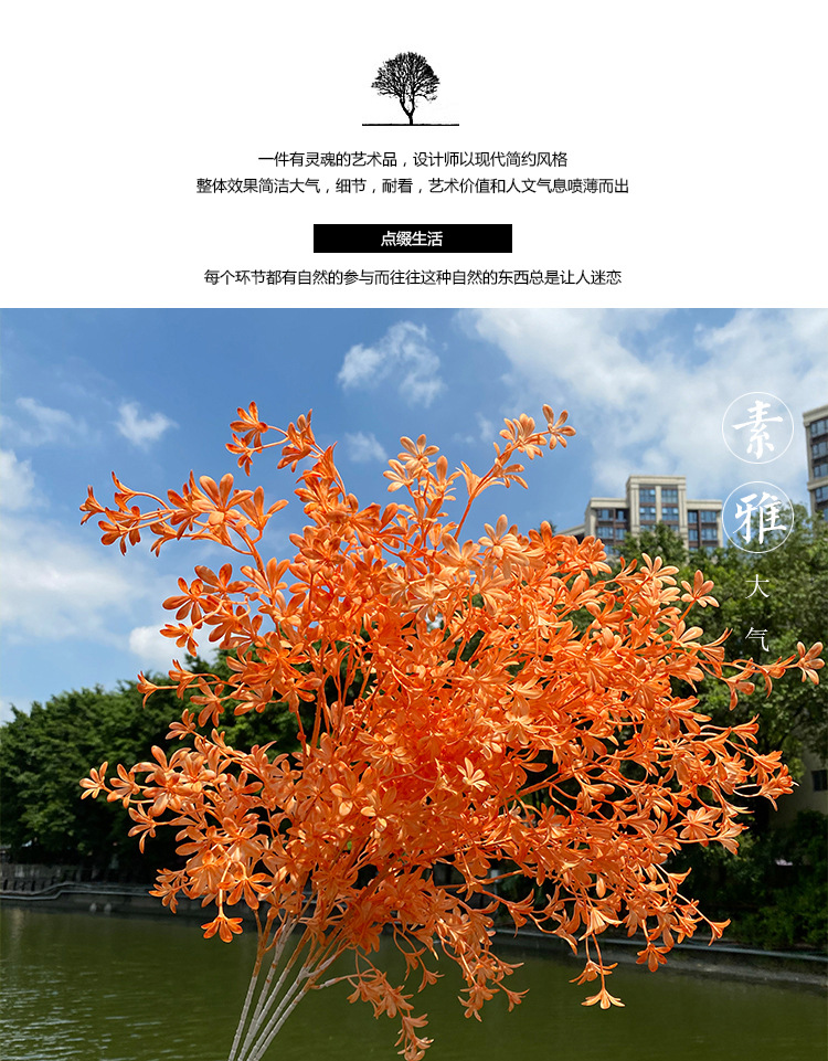 文心兰_01.jpg