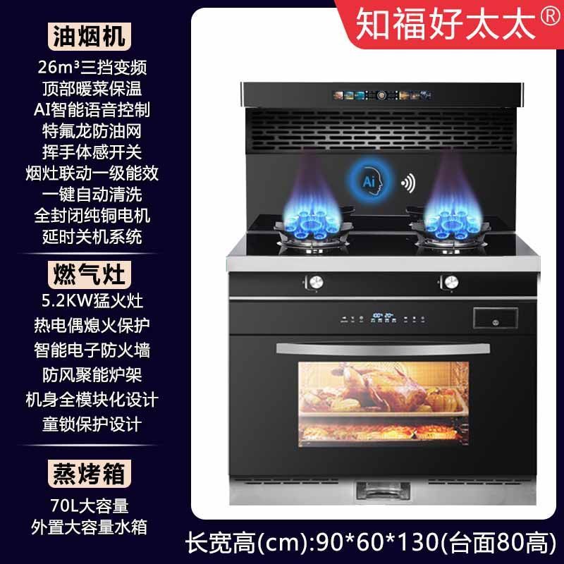 파이프라인 천연가스 [공장 직배송, 집배달]-900 찜, 베이킹, 소통 [AI 음성제어 + 맹렬한 불]