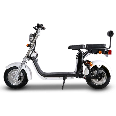 Portable Scooter, Elektrikli motosikletlər