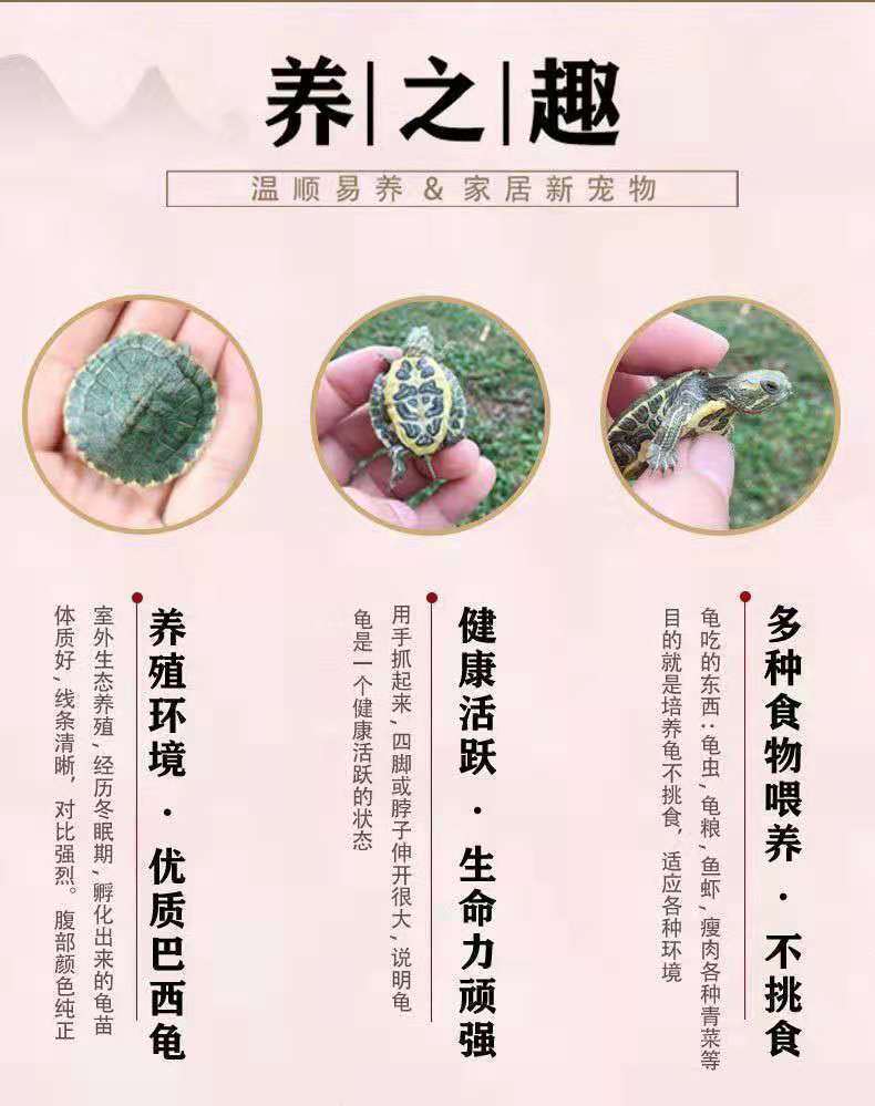 84f8a985-5658-47d4-bb33-850dc7930ef5.jpe