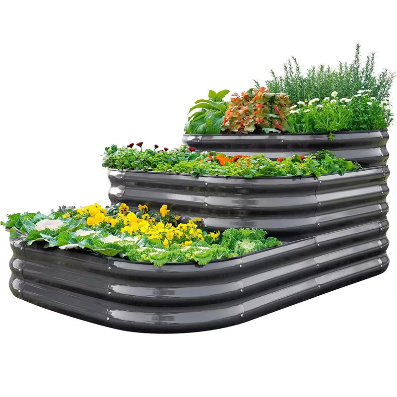 ֲ ΢ͼƬ_20240222152142