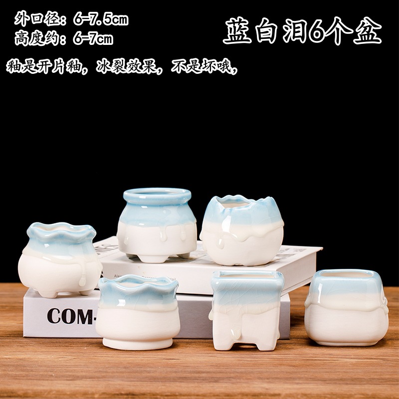 蓝白泪6个盆_副本