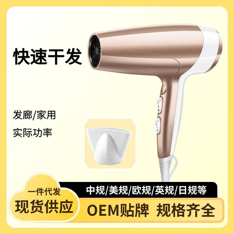 クロスボーダーヘアトリートメントハイパワーヘアドライヤー家庭用大風力冷熱風理髪店速乾ブルーレイヘアドライヤー|undefined