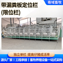 工厂带漏粪板限位栏母猪饲喂栏妊娠栏带漏粪板热镀锌框架定位栏