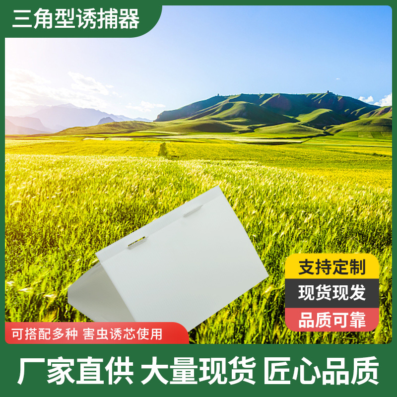 Triangle Drosophila Trap Trap Trap Trap Trap Cage Pest Trap Tools Wholesale