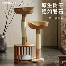 Petpeace实木小型藤编猫爬架猫窝猫树小户型不占地猫抓板树干猫架