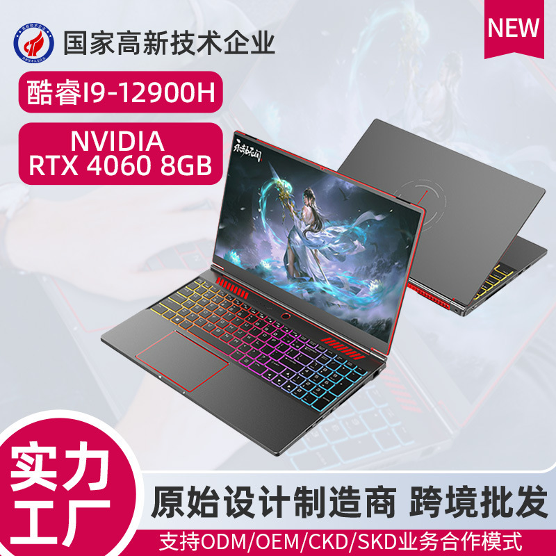 Naked Eye 3D Computer 4060 E-sports Game Book 8GB Single Display Core I912900H Laptop