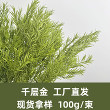 �滨ǧ�ӽ�ɻ��Gɫֲ�ﾰ�^ֲ����ɫܛ�bֲ��c�b�ǧ�Ӳ���ᘲ�