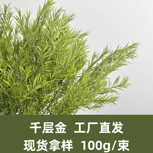 �滨ǧ�ӽ�ɻ��Gɫֲ�ﾰ�^ֲ����ɫܛ�bֲ��c�b�ǧ�Ӳ���ᘲ�