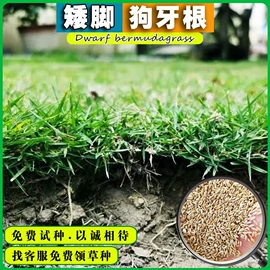 种子;其他园林资材;植保机械