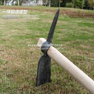 �z�^�r���i�呴��z�^�¿�ʮ��怼��Ñ����_������ľ���z�^�ڵ�