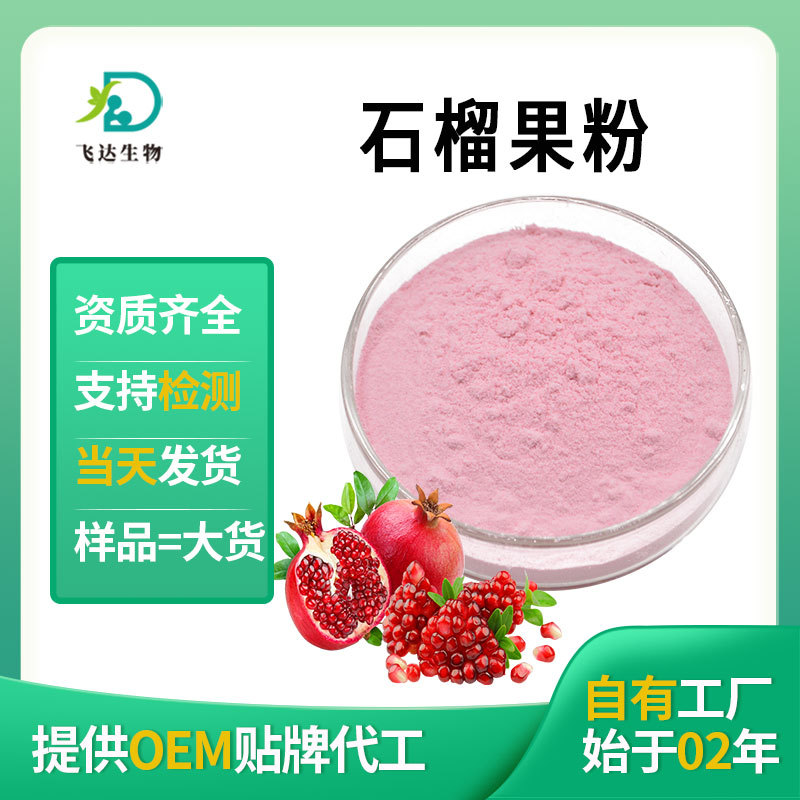 石榴粉果粉浓缩石榴果汁原料固体饮料原料现货批发