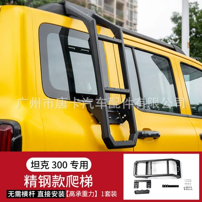 Light Spoiler Platform Ladder Side | Roof rack - tank-300-stainless-steel-ladder