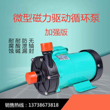 MP系列微型磁力泵 大流量高扬程塑料磁力驱动泵 耐腐蚀化工循环泵