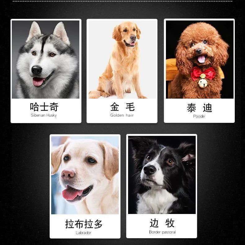 2b4f94df-5436-4654-980e-22fe344dbe29.jpe