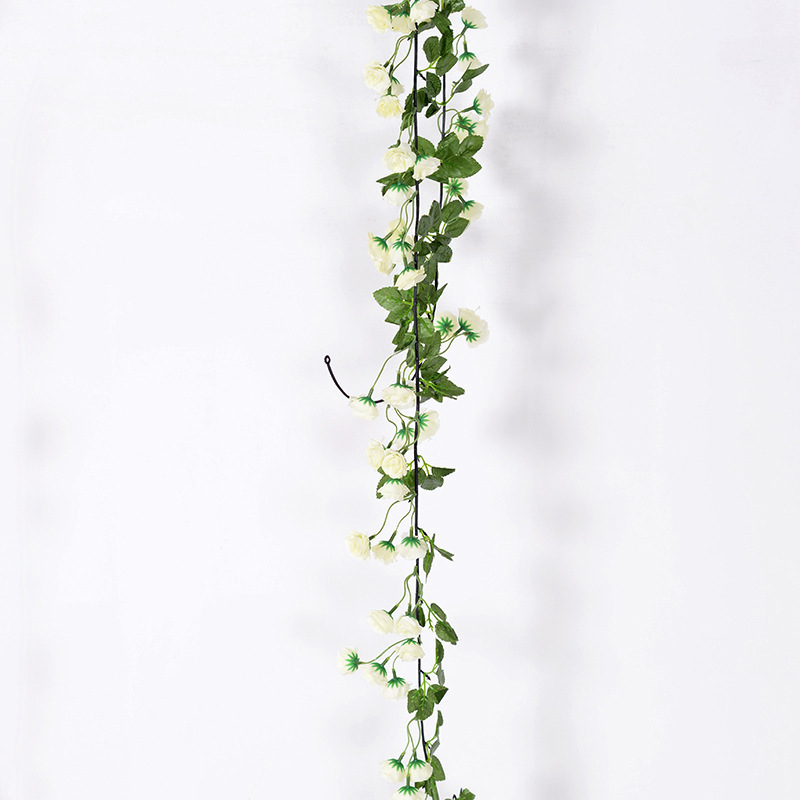 69 cabezas de ratán Rosa Blanco