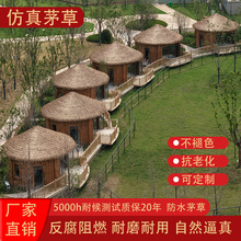 ���Sֱ�NPE PA�߶˷���é���ߑ����ˮ��������é������b���Ƭ