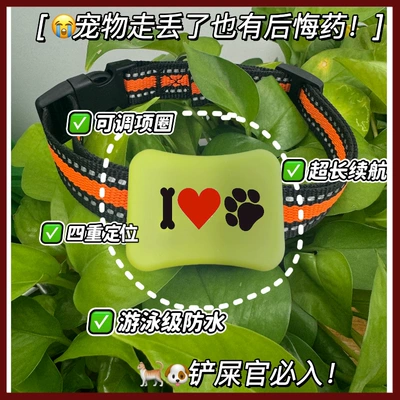 Gps Locator with Sound and: GPS Locator