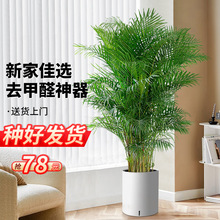 ɢβ�����Կ͏d��ش��;Gֲ�Pβ�����������҃�����ȩֲ���k����