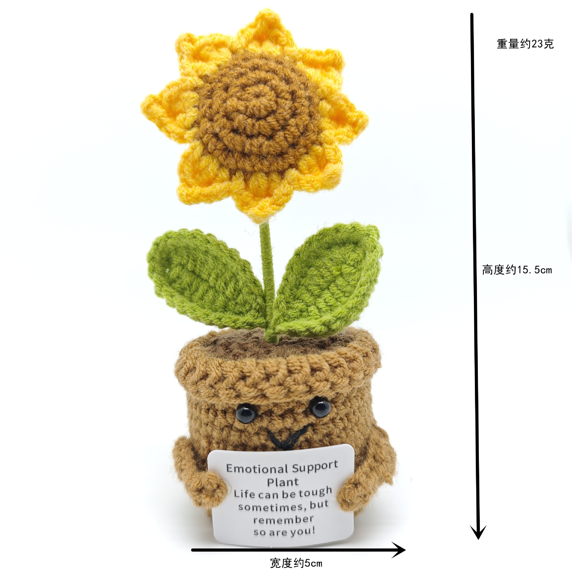 해바라기 화분