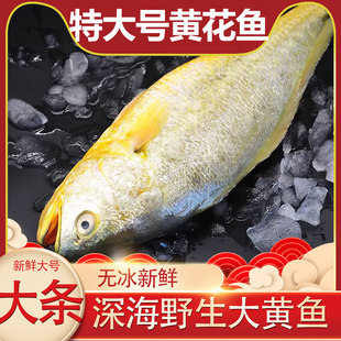 ���r���S�~���l������S���~400-500g/�l���B������rˮ�a�S�~
