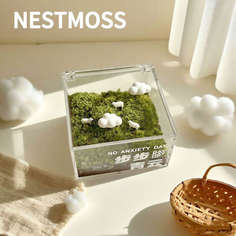 步步青云苔藓微景观一片草坪迷你绿植生态瓶解压ins治愈桌面摆件|undefined