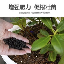 ʷͺϷʻʻʵ⛾Gֲ仨ܠIBͨ