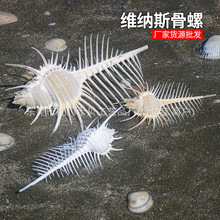 ��Ȼؐ�������~���쾰��c�Ҿӹ�ˇƷ������� Ů���� �S�{˹����