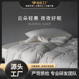 羽绒被白鸭绒60被芯跨境热卖全棉柔暖舒睡单双人净味羽绒被芯批发