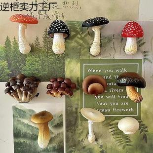 ������Ͼ����㹽Ģ�������N�����b���Ҿ��b�Ʒ�����T����