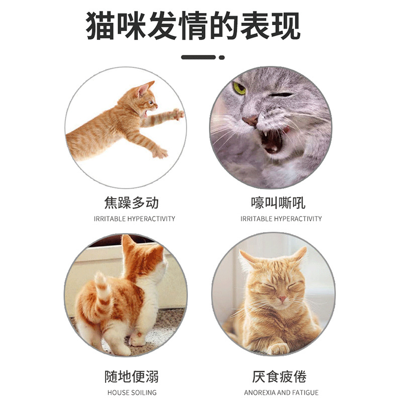 PetsBenz Cat Liquid 50ml en estro, anti-aullo y calmante, polvo de amortiguación para gatos machos