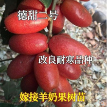 ���̹��� ���̹����� ���̹��� ���j�ӹ��������Ե��dͥԺ�̨�N