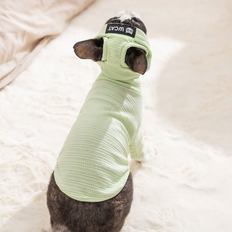 秋冬猫咪清新条纹打底衫帽子套装薄款透气德文猫服饰宠物狗狗衣服|undefined