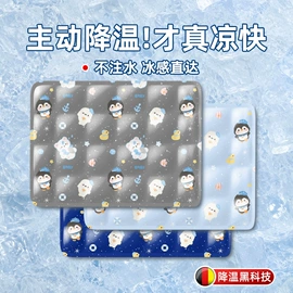 电热水袋;充水热水袋;冰垫