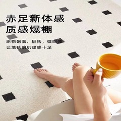 黑石公寓防水絲防塵易打理輕法式中古風客廳沙發地毯輕奢in茶几毯
