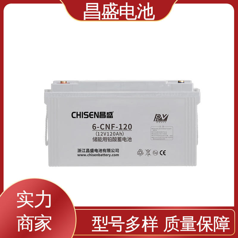昌盛 6-CNFJ-120 工业电池 储能电池系统 储能电源 售后无忧
