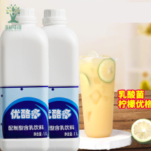 鲜活优酪多 原味优格 酸奶益菌多浓缩乳酸菌饮品优乐多奶茶店