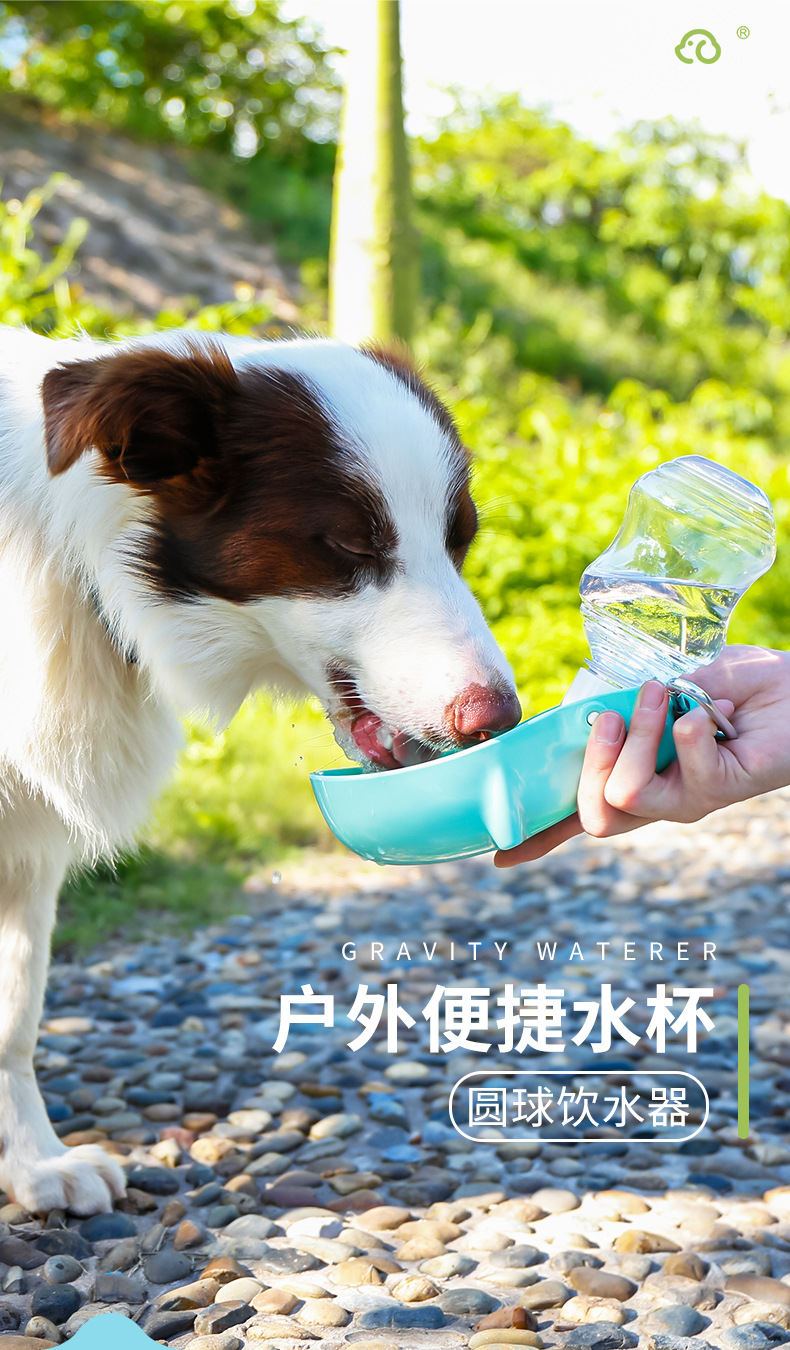 圆球饮水器_01.jpg