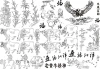 [烙画25号 高：13cm  五牛6cm]