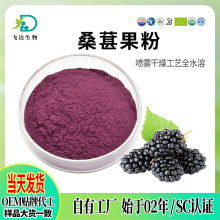 桑葚果粉喷雾干燥桑葚粉全水溶各种植物花青素厂家现货批发