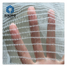 BSCI���S��������W���@���o�������W���ш@UV���ϻ����������W