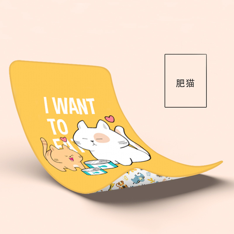 뚱뚱한 고양이