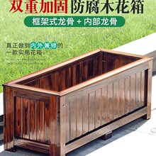 ��ľ����ľ����Nֲ�仨��N���軨���̨�L���Α����̨�Nֲ��