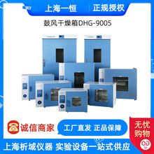 上海一恒DHG-9145A/9245A电热鼓风干燥箱电热恒温箱烘箱工业烤箱