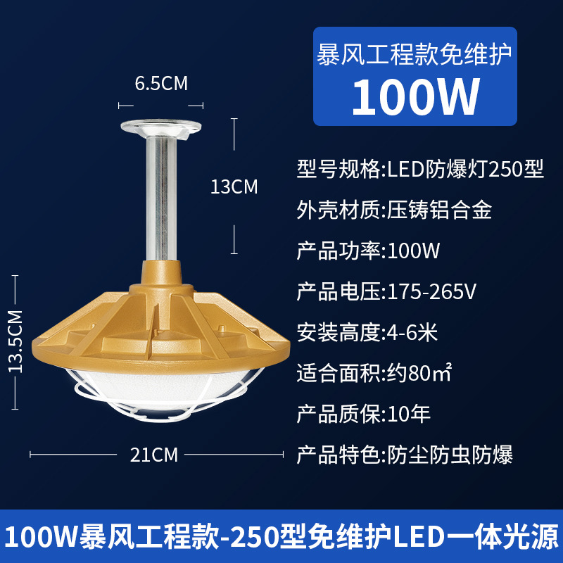 유지보수가 필요 없는 100W 다이캐스트 폭풍 엔지니어링 모델 [노란색]