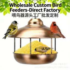 鸟笼;鸟类;喂食器