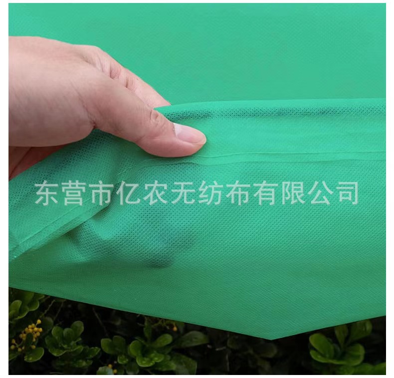 O1CN01pltggP1bWgWbcX6y7_!!2924243473-0-cib.jpg?__r__=1725867939343