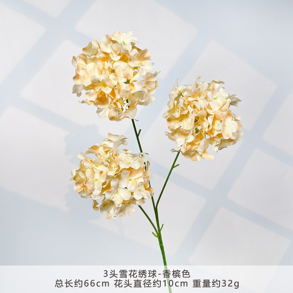 HXX-3头雪花绣球-香槟